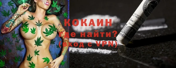 прущие грибы Заволжск