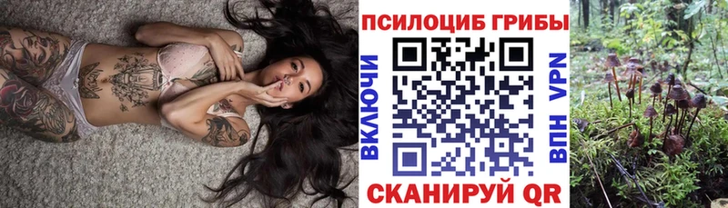 как найти Владивосток Псилоцибиновые грибы Psilocybine cubensis