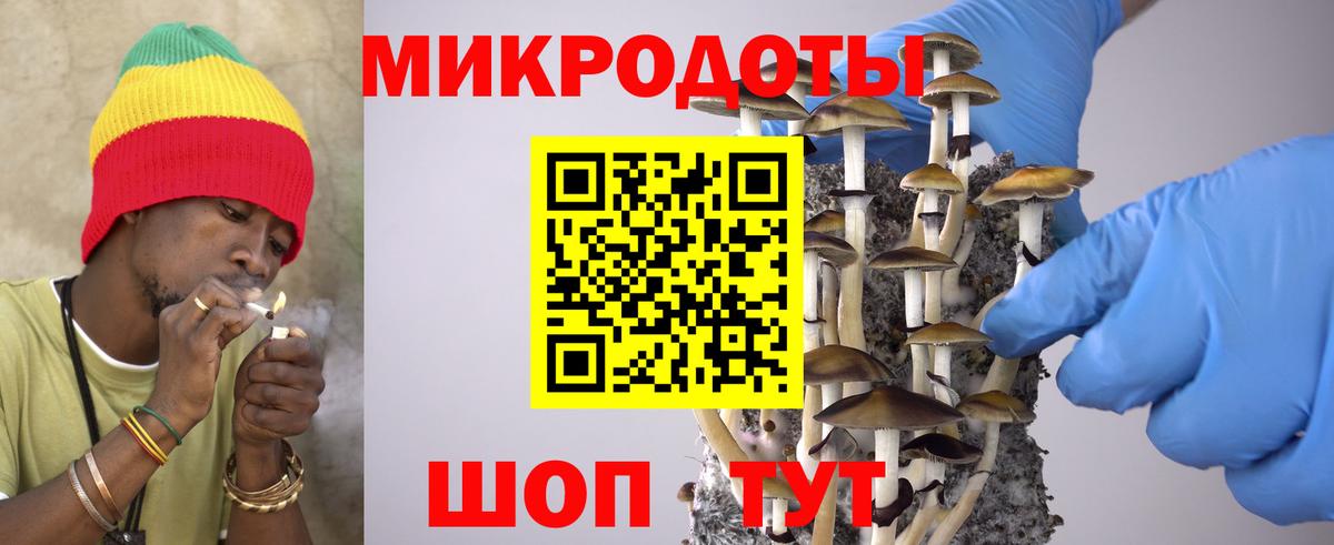 Россия  Галлюциногенные грибы GOLDEN TEACHER  Вход с VPN 