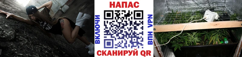 Марихуана конопля  закладка  Владивосток 